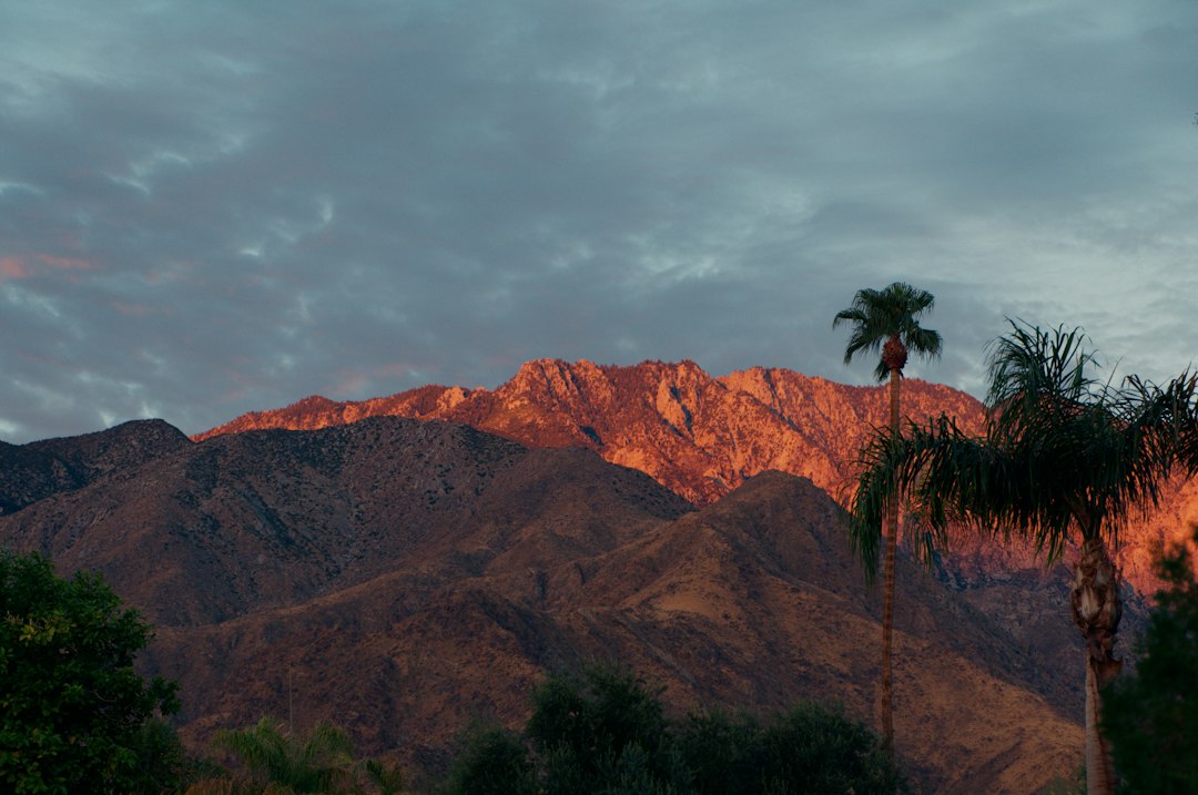 Mount San Jacinto and palms near Palm Springs in Riverside County